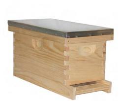 5 frame Langstroth nuc